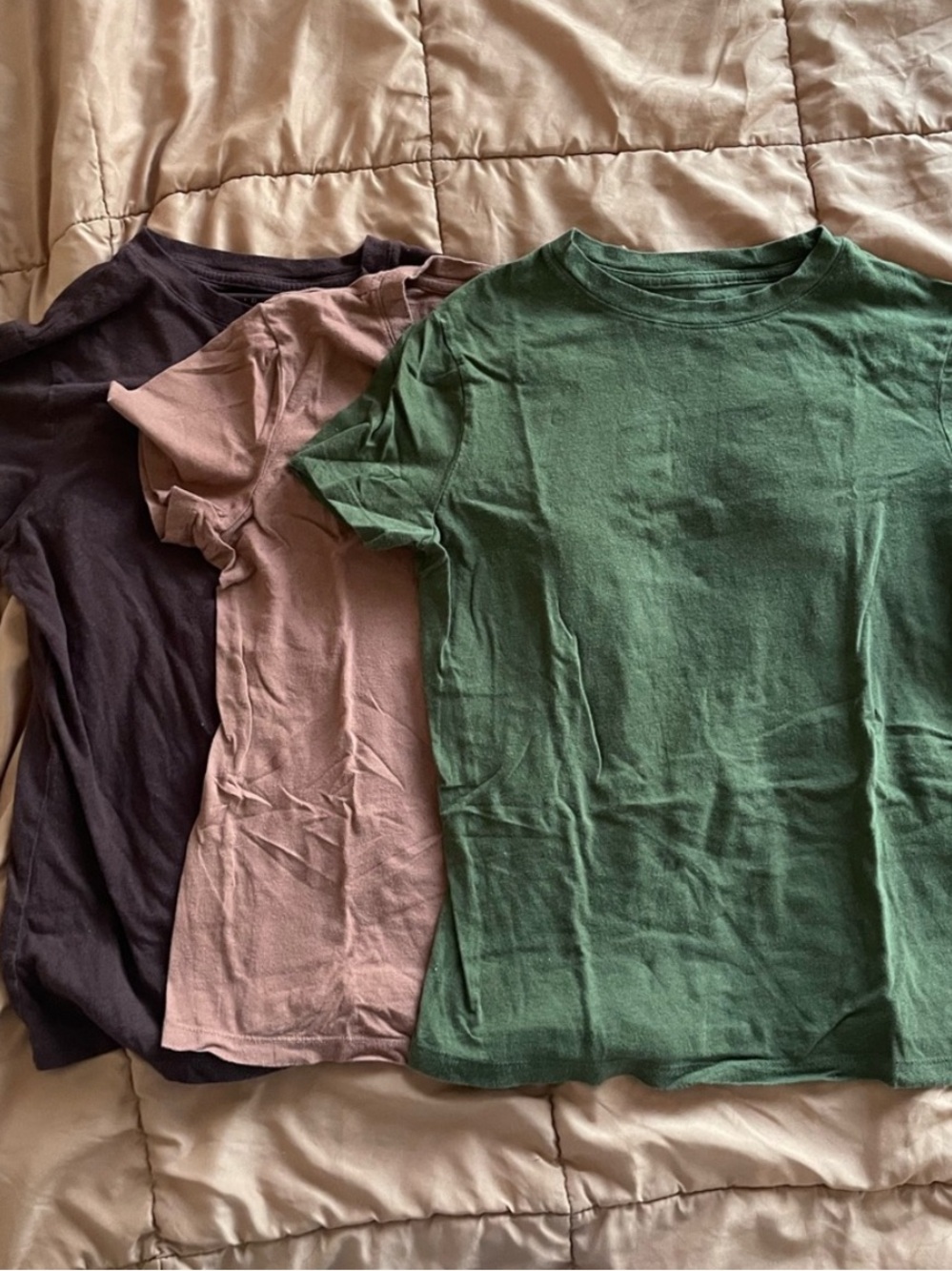 Bundle of 3 Crewneck Shirts in Forest Green, Mauve, & Espresso